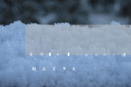 支付寶4萬(wàn)逾期90天 支付寶逾期五百多天
