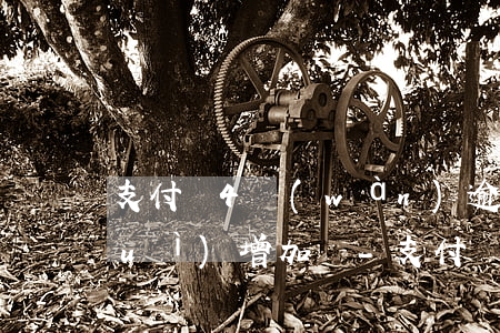 支付寶4萬(wàn)逾期一年利息會(huì)增加嗎-支付寶4萬(wàn)逾期一年利息會(huì)增加嗎知乎