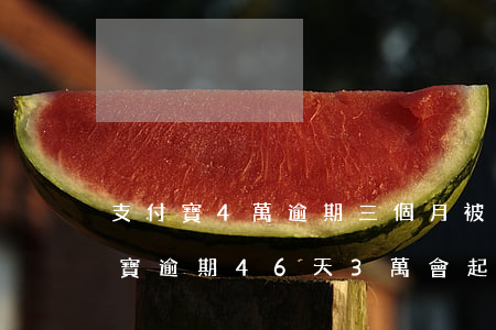 支付寶4萬逾期三個月被起訴了怎么辦?（支付寶逾期46天3萬會起訴嗎）