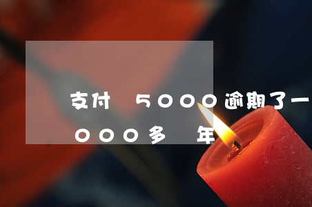 支付寶5000逾期了一年多 支付寶逾期5000多兩年