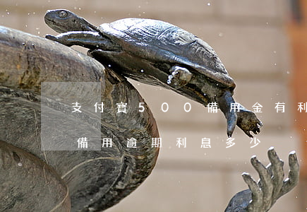 支付寶500備用金有利息嗎（支付寶500備用逾期利息多少）