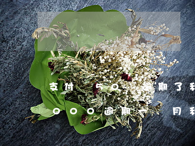 支付寶50塊逾期了利息是多少-支付寶5000逾期一個月 利息加罰息一個多少元