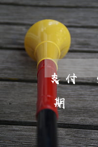 支付寶550元備用金逾期(支付寶備用金逾期)