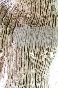 支付寶5千逾期4個月
