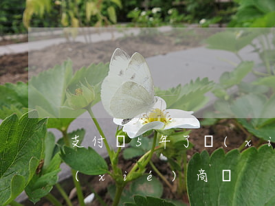 支付寶5年了現(xiàn)在想還款能協(xié)商嗎