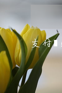 支付寶5年免息分期