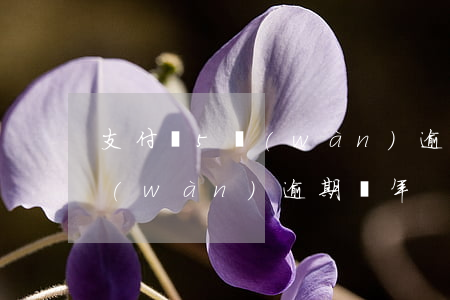 支付寶5萬(wàn)逾期后果（支付寶5萬(wàn)逾期兩年）