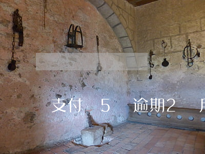 支付寶5萬逾期2個月(支付寶五千逾期)