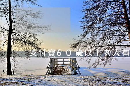 支付寶60歲以上老人有逾期嗎