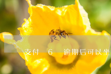 支付寶6萬逾期后可以坐飛機嗎-
