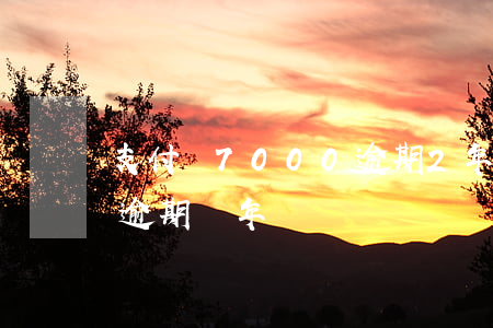 支付寶7000逾期2年(支付寶20000逾期兩年)