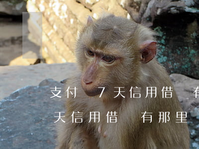 支付寶7天信用借唄有那里還款-支付寶7天信用借唄有那里還款嗎