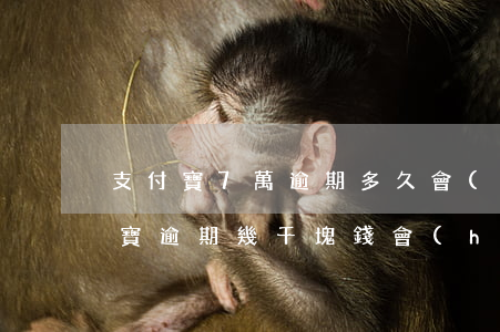 支付寶7萬逾期多久會(huì)起訴(支付寶逾期幾千塊錢會(huì)起訴嗎)