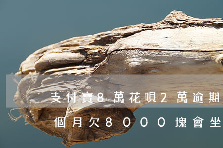 支付寶8萬花唄2萬逾期(支付寶花唄逾期三個月欠8000塊會坐牢嗎)