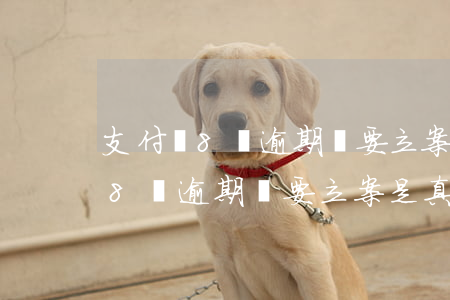 支付寶8萬逾期說要立案是真的嗎-支付寶8萬逾期說要立案是真的嗎嗎