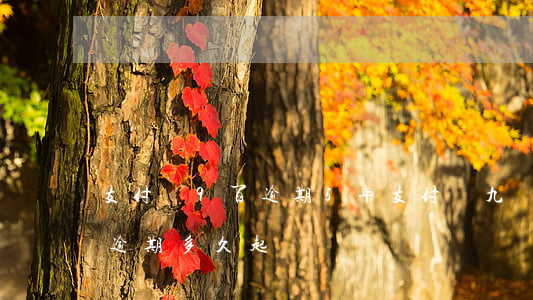 支付寶9百逾期5年(支付寶九萬(wàn)逾期多久起訴)