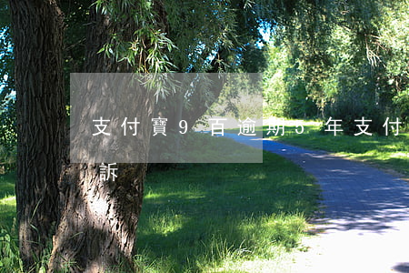 支付寶9百逾期5年(支付寶九萬逾期多久起訴)