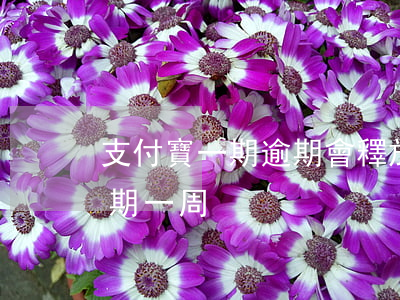 支付寶一期逾期會釋放所有賬單嗎(支付寶逾期一周)