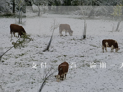 支付寶一百塊逾期一天 支付寶逾期十幾天