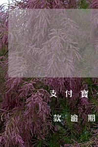 支付寶一直逾期會(huì)怎樣（支付寶欠款逾期有事嗎）