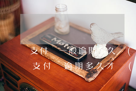 支付寶一般逾期多久會(huì)上征信-支付寶逾期多久才會(huì)影響征信