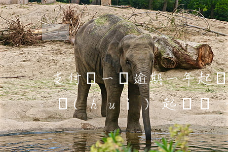 支付寶一萬逾期一年起訴(支付寶逾期一年多會(huì)起訴嗎)