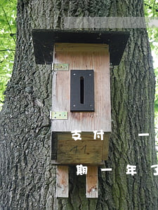 支付寶一萬逾期三年要還多少(支付寶3萬逾期一年了,還不起)