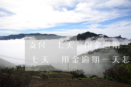 支付寶七天備用金逾期一天怎么辦-支付寶七天備用金逾期一天怎么辦啊
