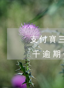 支付寶三千元逾期八個(gè)月(支付寶八千逾期一年)
