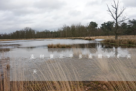 支付寶三千多逾期90天(支付寶逾期兩百多天)