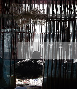 支付寶三千逾期快半年了（支付寶30萬(wàn)逾期一年）