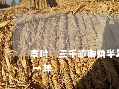 支付寶三千逾期快半年了（支付寶30萬逾期一年）