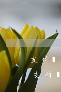 支付寶三萬(wàn)逾期一年利息是多少(支付寶逾期3萬(wàn)多利息是不是滾到十幾萬(wàn))