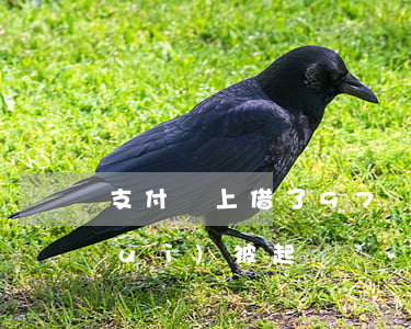 支付寶上借了97塊錢(qián)會(huì)被起訴嗎-支付寶上借了97塊錢(qián)會(huì)被起訴嗎怎么辦