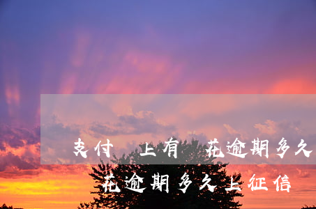 支付寶上有錢花逾期多久上征信(支付寶上有錢花逾期多久上征信)