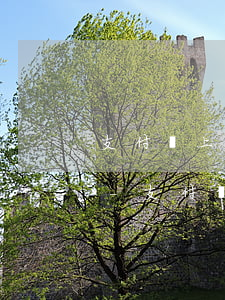 支付寶上有錢螞蟻花唄會(huì)還款嗎-支付寶上有錢螞蟻花唄會(huì)還款嗎安全嗎