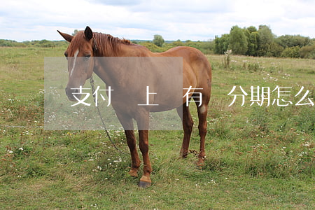 支付寶上沒有來分期怎么還款嗎-
