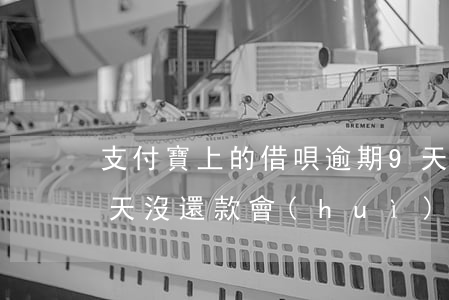 支付寶上的借唄逾期9天(支付寶借唄逾期十天沒還款會(huì)有什么結(jié)果)