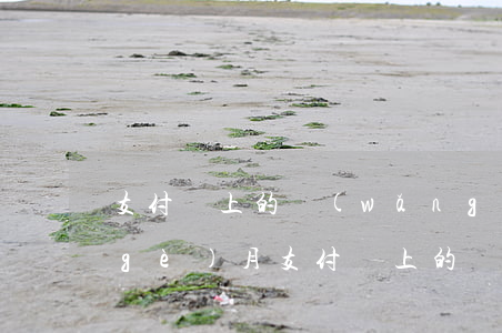 支付寶上的網(wǎng)商貸逾期半個(gè)月(支付寶上的網(wǎng)商貸逾期半個(gè)月會(huì)怎么樣)