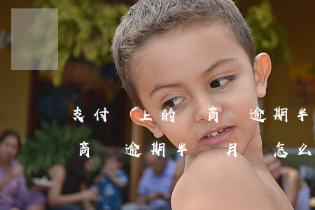支付寶上的網商貸逾期半個月(支付寶上的網商貸逾期半個月會怎么樣)