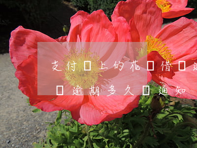 支付寶上的花唄借唄逾期會通知嗎(支付寶借唄逾期多久會通知)