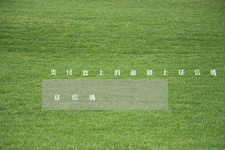支付寶上的逾期上征信嗎-支付寶有逾期上征信嗎