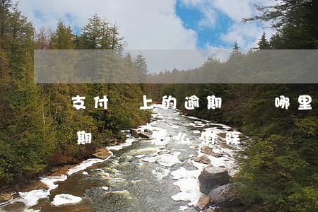 支付寶上的逾期記錄哪里能消除-支付寶逾期記錄怎么消除