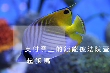 支付寶上的錢能被法院查到嗎（支付寶的錢能起訴嗎）