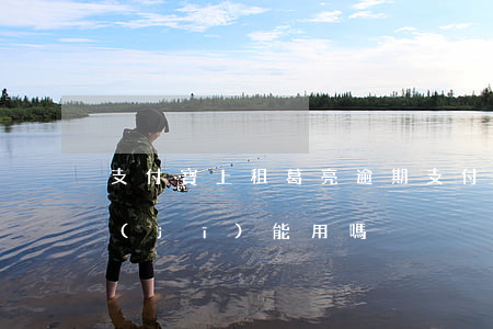 支付寶上租葛亮逾期(支付寶租葛亮租的手機(jī)能用嗎)