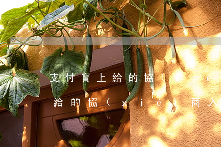 支付寶上給的協(xié)商入口(支付寶上給的協(xié)商入口怎么關(guān)閉)