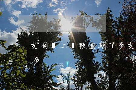 支付寶上貸款逾期了多(支付寶上貸款逾期了多)