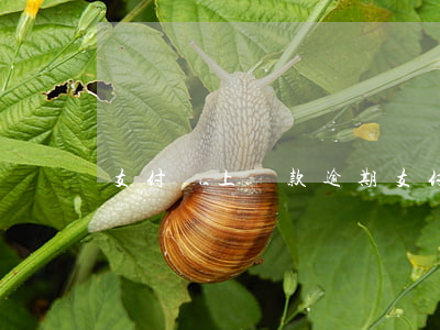 支付寶上貸款逾期(支付寶上貸款逾期)