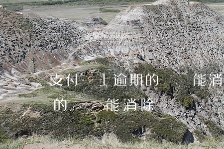 支付寶上逾期的記錄能消除嗎(支付寶上逾期的記錄能消除嗎)