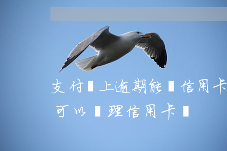支付寶上逾期能辦信用卡嗎(支付寶花唄逾期可以辦理信用卡嗎)